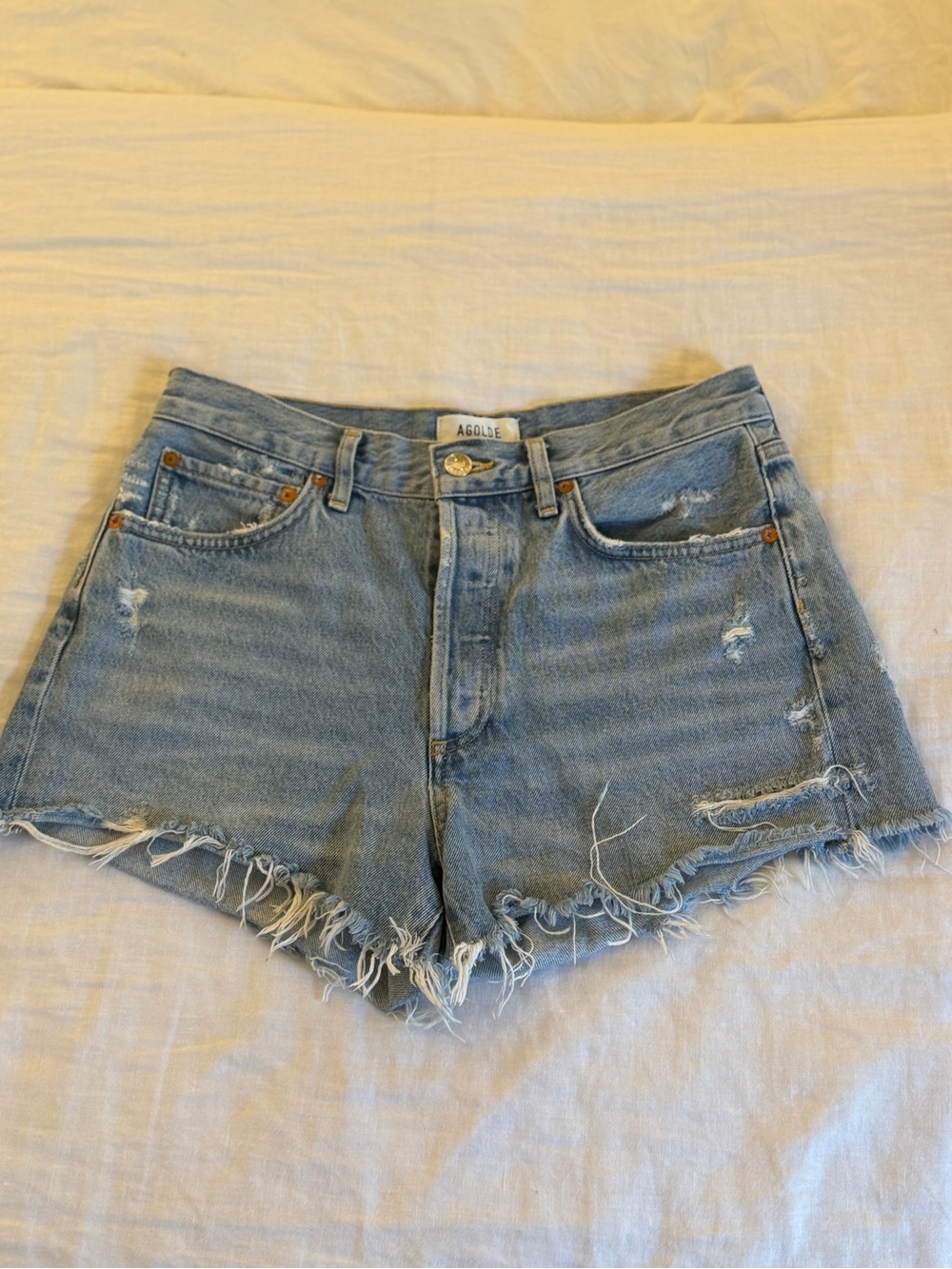 Agolde Parker Vintage Cutoff Short